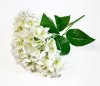 Букет гортензий 5 веток молочная