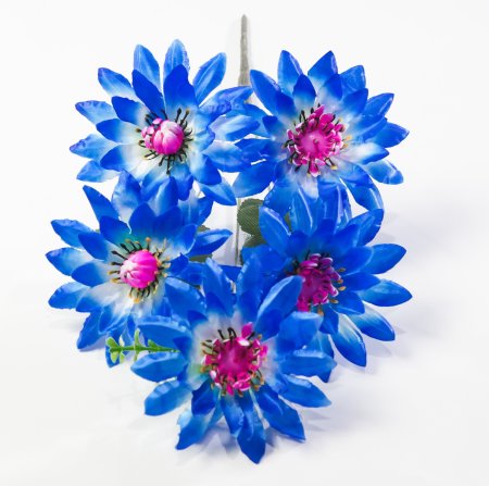 Астра "Дарина" 5 цветков