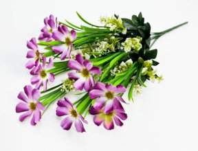 Космея "Алёшина" 10 цветков