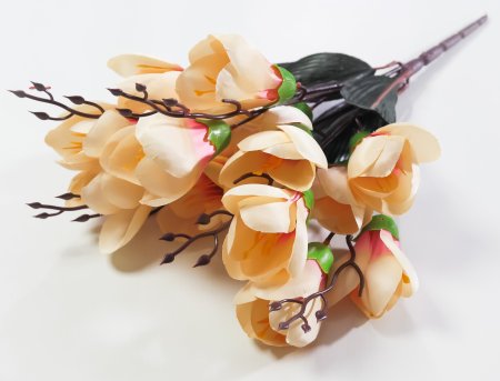 Крокус "Звездный вальс" 15 цветков