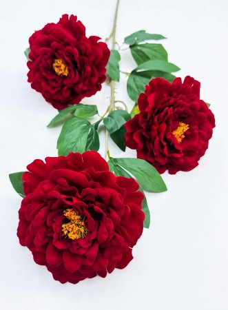 Пион "Величие" 3 цветка