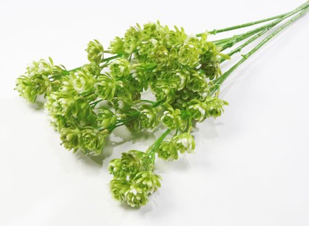 Ветка с мелким лотосом пластик