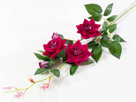 Ветка розы "Беролина"