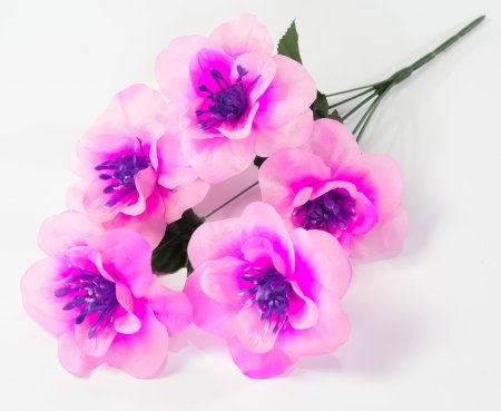 Нарцисс "Джувел" 5 цветков