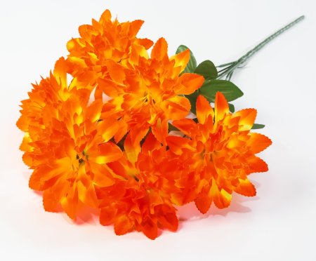 Шафран "Звезда малая" 6 веток