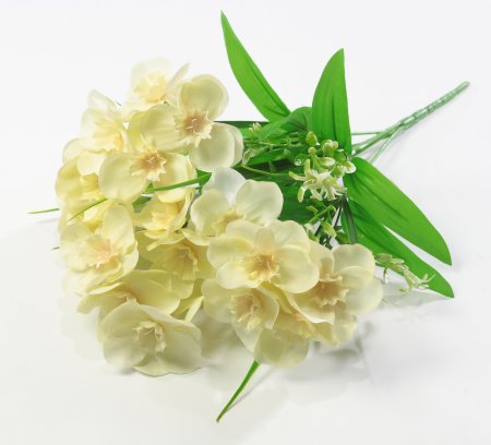 Нарцисс "Лига" 20 цветков