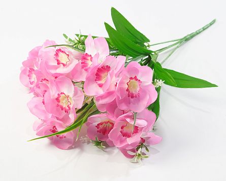 Нарцисс "Лига" 20 цветков от магазина KALINA являющийся официальным дистрибьютором в России 