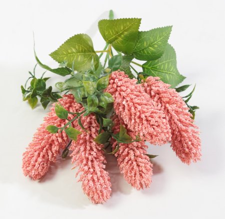 Букет Секлетия дикий арбуз