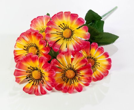 4160e5f30d4e0b53e43c21fdeb37c386