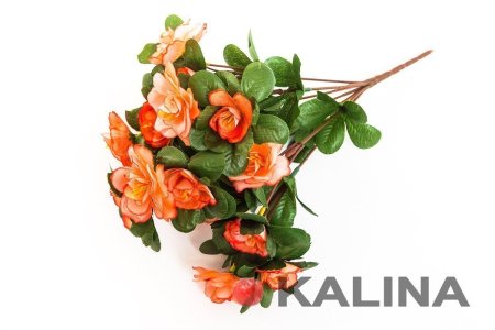 Букет азалии 7 веток