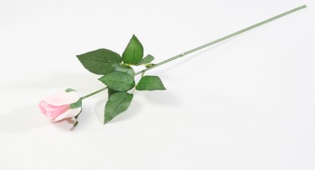 Роза с латексным покрытием малая светло-розовая