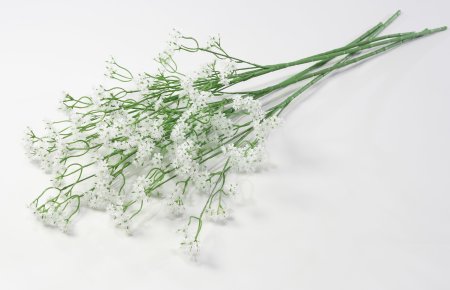 Гипсофила с тычикой