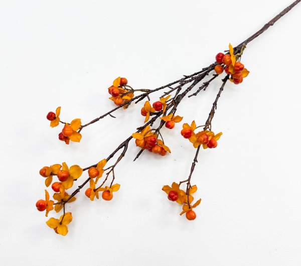 Морошка оранжево-красная