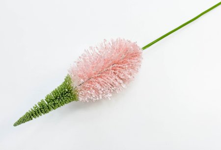 Эремурус "Розовый пушистик"