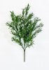 картинка Розмарин зеленый от магазина KALINA