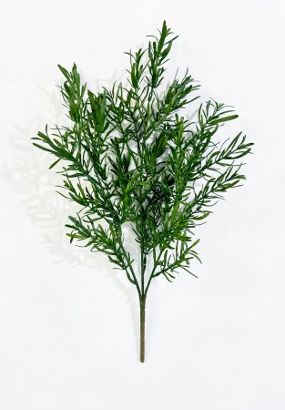 картинка Розмарин зеленый от магазина KALINA