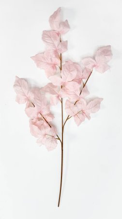 Ветка малины нежно-розовая