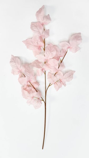 Ветка малины нежно-розовая