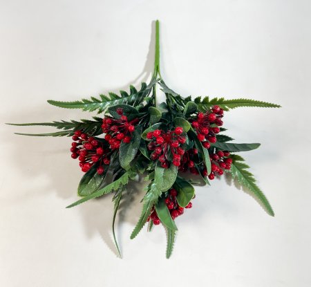 Нидорелла ивифолия красная