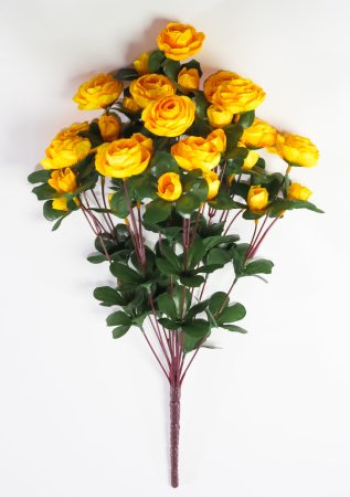 Ранункулюс 36 цветков