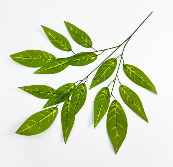 картинка Лист кротона  от магазина KALINA