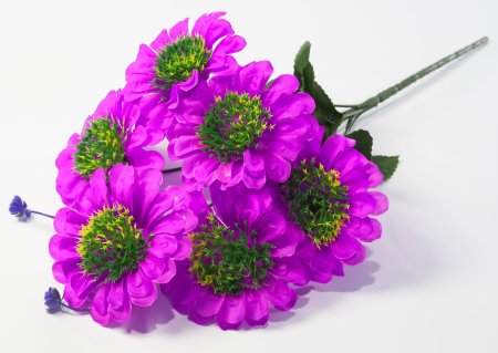 Букет цинний 6 цветков