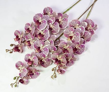Ветка орхидеи 21 от магазина KALINA являющийся официальным дистрибьютором в России 