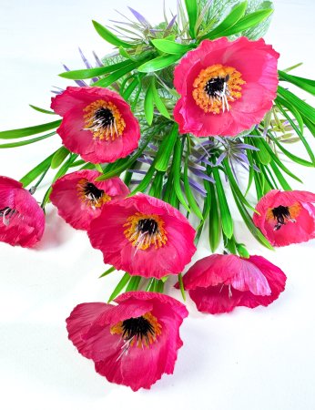 Мак садовый 9 цветков