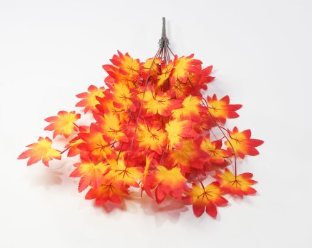 картинка Ветка клена осеннего от магазина KALINA