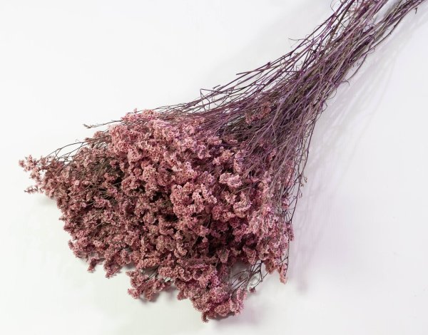 Лимониум стабилизированный