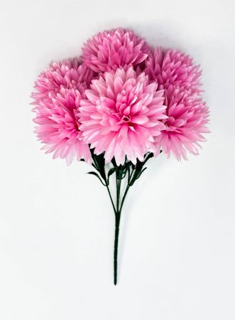 Хризантема "Репутация" 7 цветков