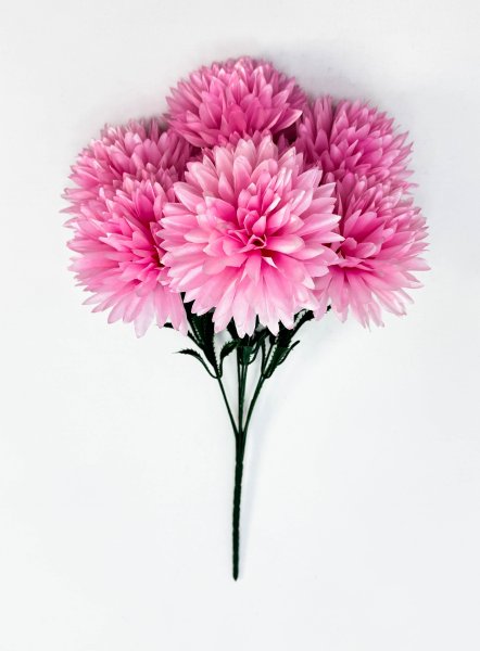 Хризантема "Репутация" 7 цветков