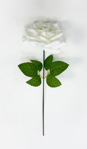 Роза штучка "Палома" белая