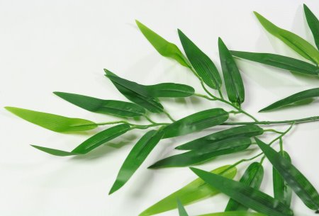 картинка Лист бамбука от магазина KALINA