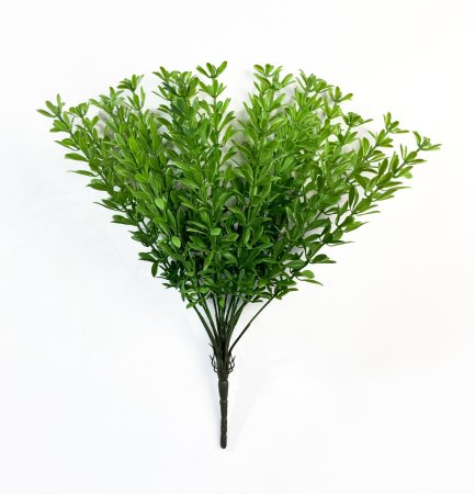 картинка Портулак от магазина KALINA