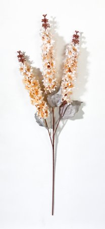 Дельфиниум Суфле персик