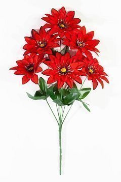 Бархатная астра 6 цветков от магазина KALINA являющийся официальным дистрибьютором в России 