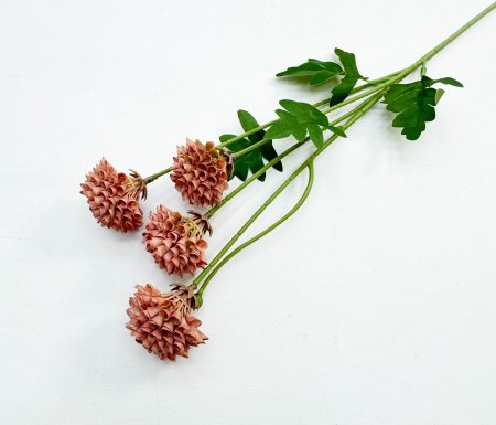 Георгин помпонный персиковый