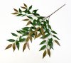 Ветка декоративной оливы Осень