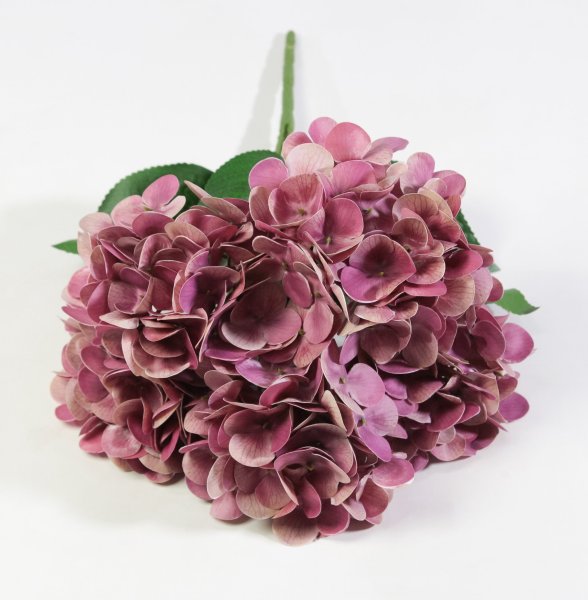 Букет гортензий 5 веток "Жимолость"