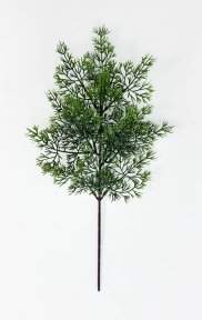 картинка Туя "Летняя пора" темно-зеленая от магазина KALINA