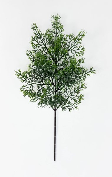 картинка Туя "Летняя пора" темно-зеленая от магазина KALINA