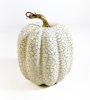 Тыква декоративна с блестками белая