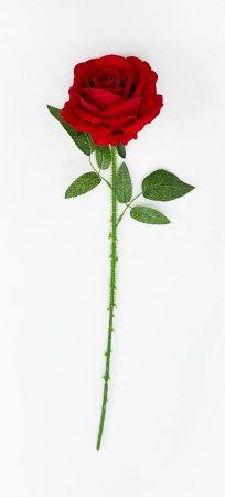 Роза "Почёт"