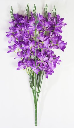 Орхидея "Аранда" 5 веток