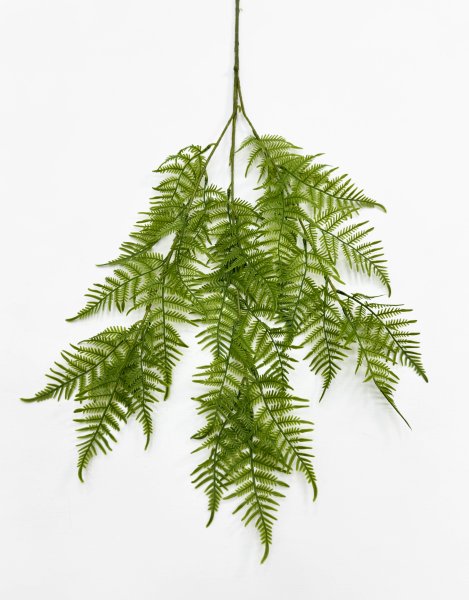 картинка Даваллия Мариса на высокой ноге от магазина KALINA