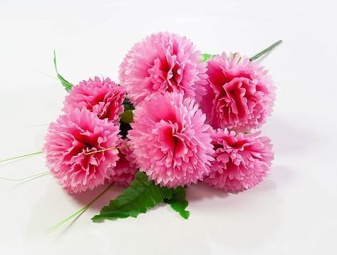 Гвоздика "Блеск" 8 цветков от магазина KALINA являющийся официальным дистрибьютором в России 