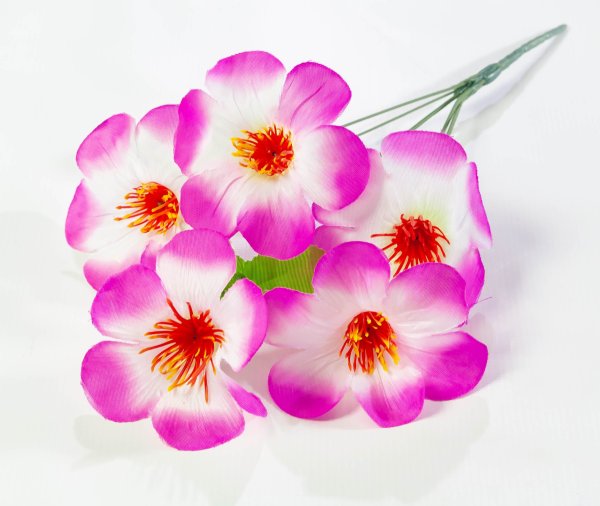 Лилия 5 веток