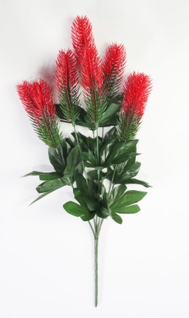 Ветка Хвоща  7 веток