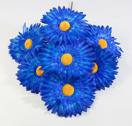 Астра Фокус Великан 7 цветков